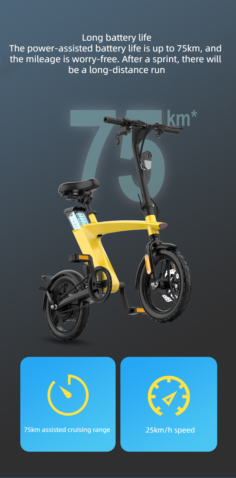 KAIXIN H1 Foldable Electric Bike 250W 36V 10AH 14 Inches Tire Electric Bike With Pedal Assist 100KG Load