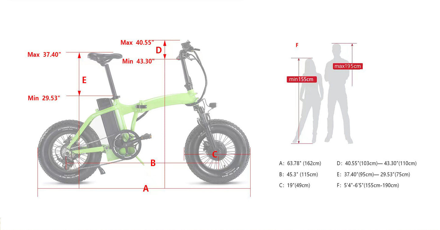 Dual-Drive Fat Tire E-bike Pro