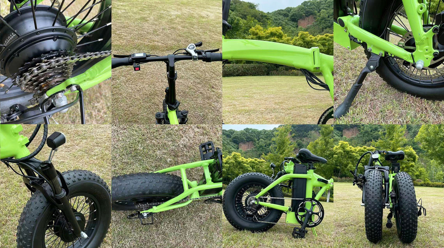 Dual-Drive Fat Tire E-bike Pro