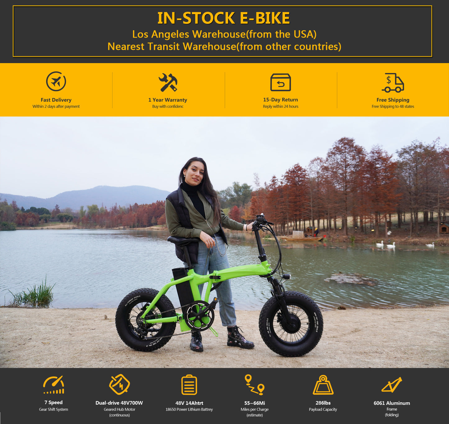 Dual-Drive Fat Tire E-bike Pro